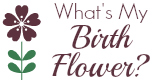 Birth Flowers By Month